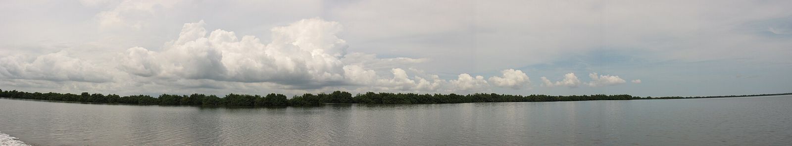 A wide, calm wetland under a cloudy sky.